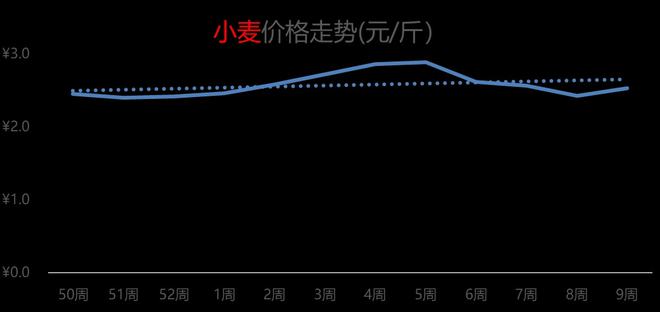 济南小麦价格最新行情