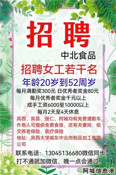 肃宁县城最新招工网，求职步骤指南与招聘资讯汇总