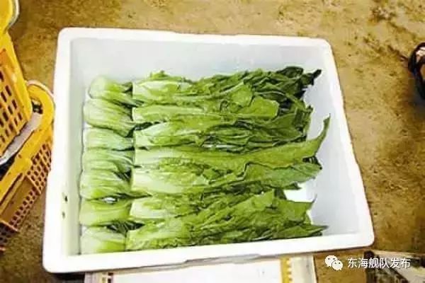 食菜网最新事件