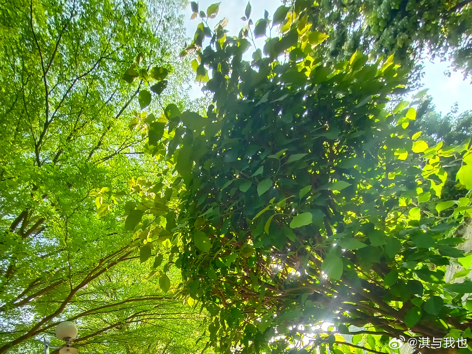 绿意盎然新篇