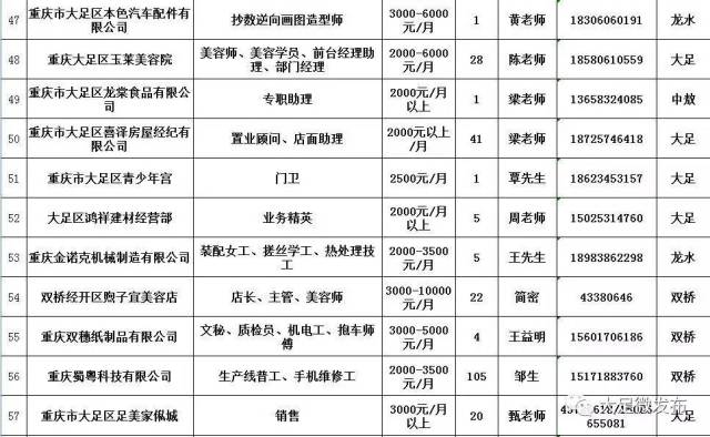 大足在线最新招聘信息，科技驱动职业新体验