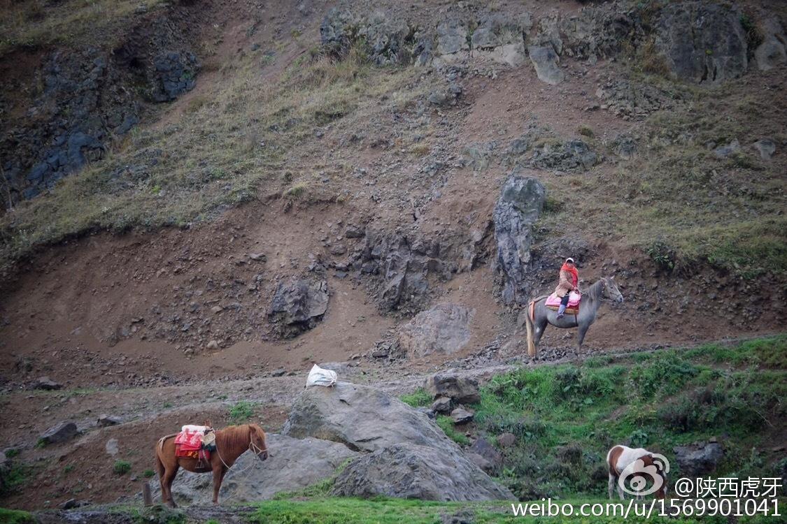 大山包最新旅游信息揭秘，探秘独特小巷风情